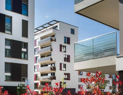 residential complex - Residential Park Niederfeld  - central courtyard - coloring and nature